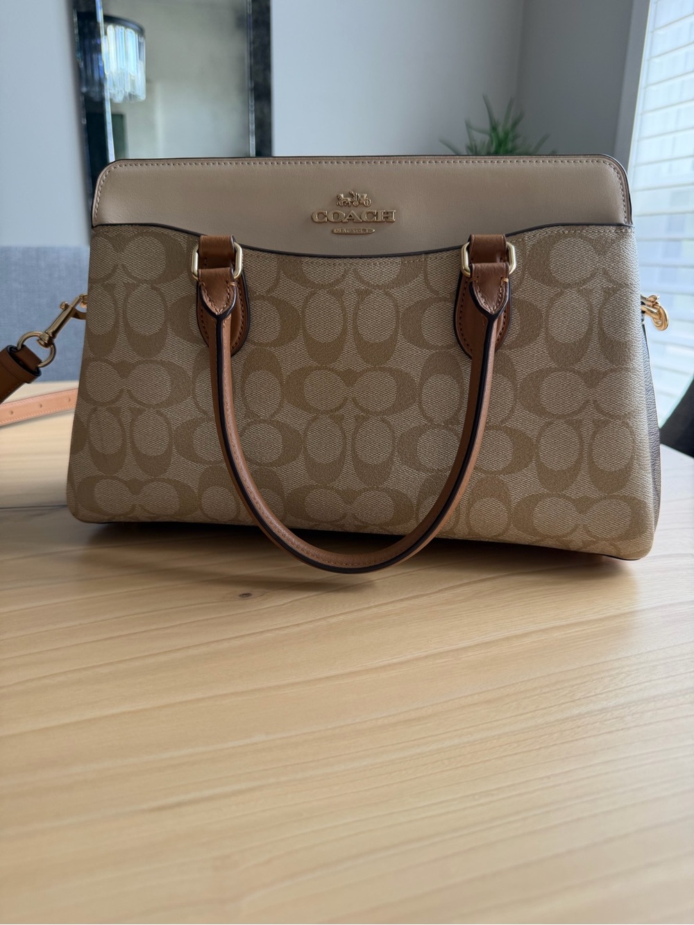 Coach Darcie Carryall Signature Bag